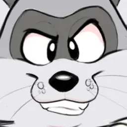 mapache