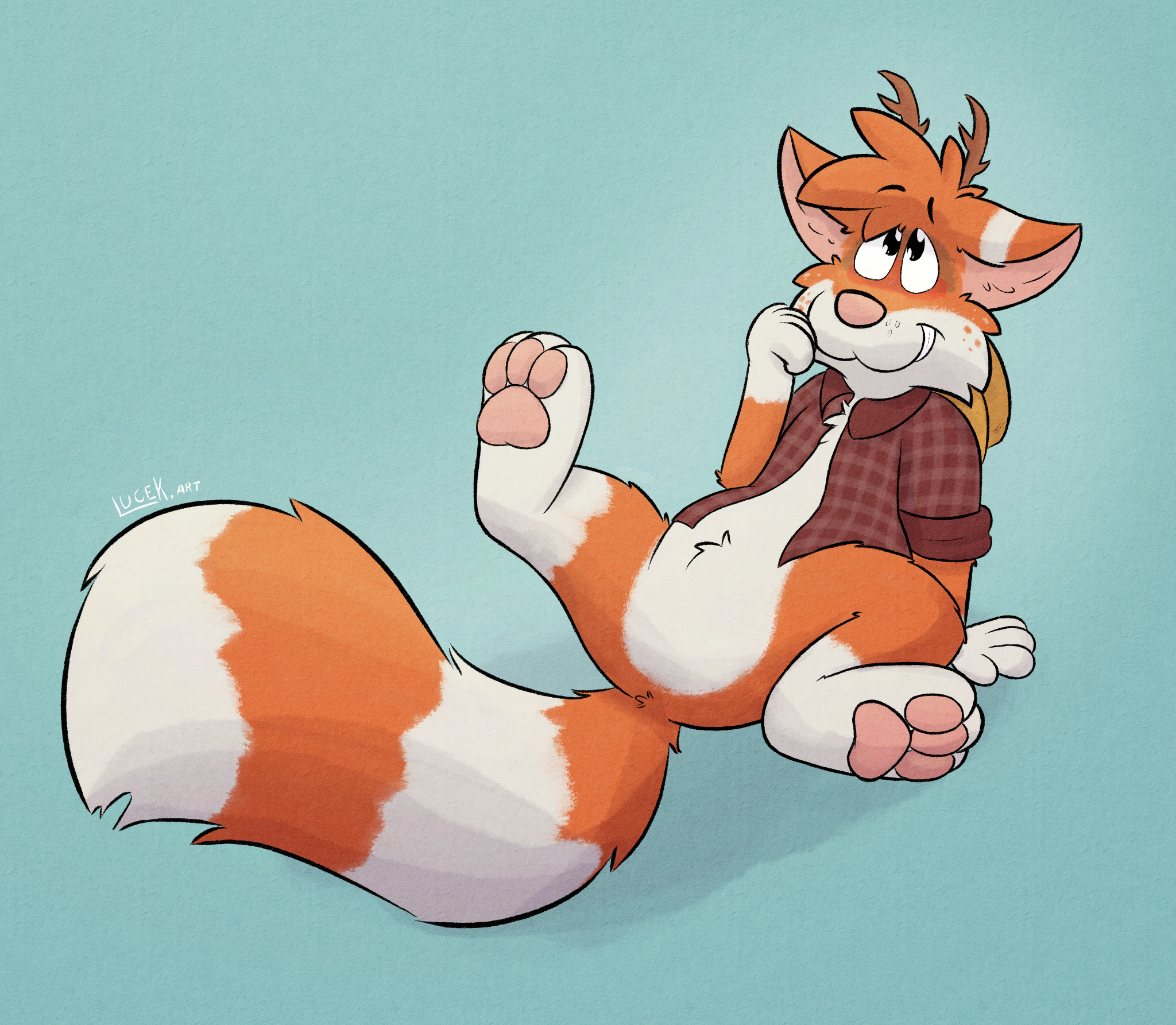 Soft Paws 🐾