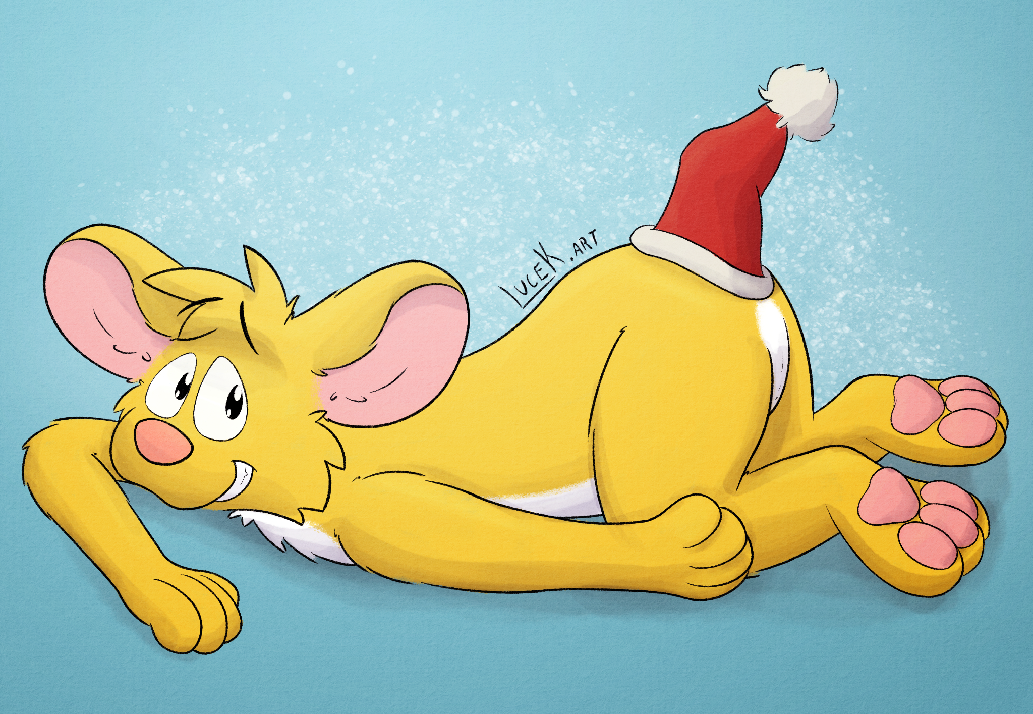 Christmas Time ❄️