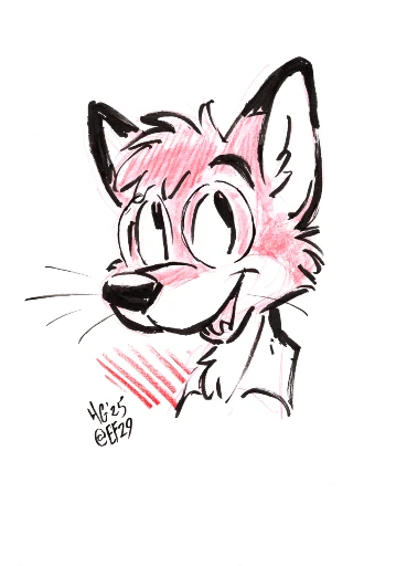 Charity Doodle